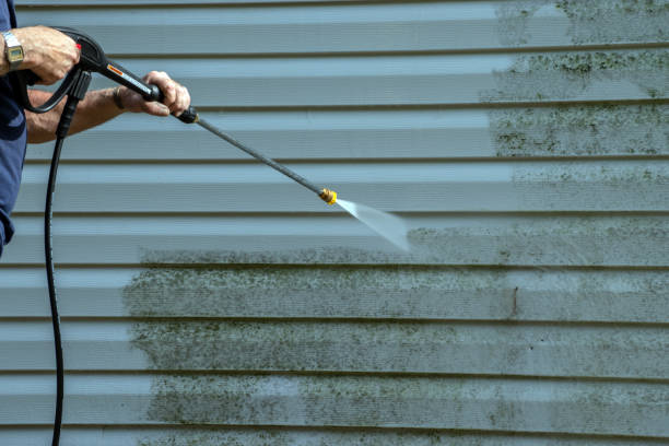 Best Roof Pressure Washing  in White City, UT